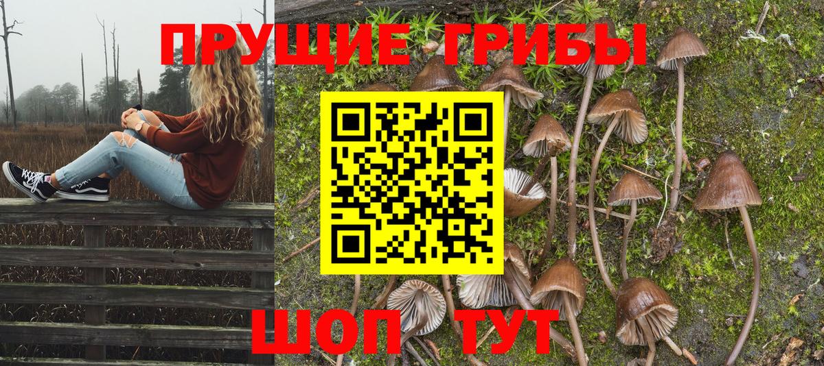 даркнет сайт  Вход с VPN  Бузулук  Галлюциногенные грибы Magic Shrooms 