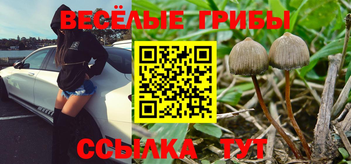 Псилоцибиновые грибы MAGIC MUSHROOMS Бузулук
