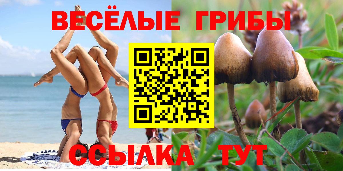 Гашиш  Бошки Шишки  Бузулук  МДМА  Кодеин  Наркошоп  ГАШ  COCAIN  МЕФ  